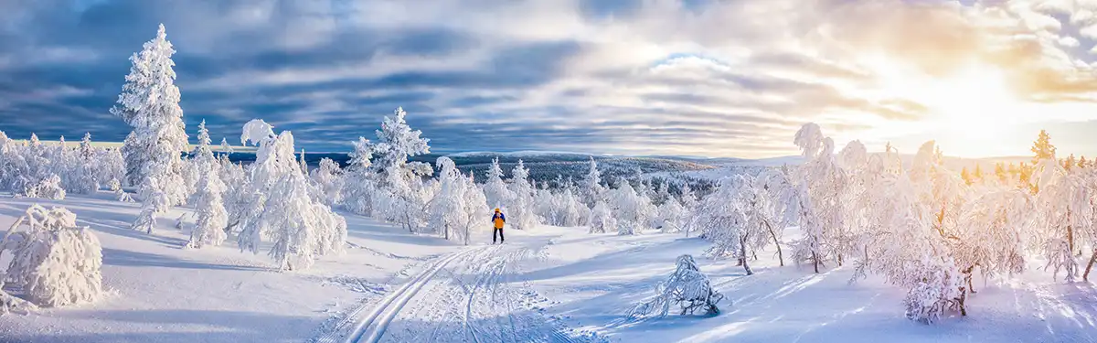 Rovaniemi excursies Excursies Rovaniemi