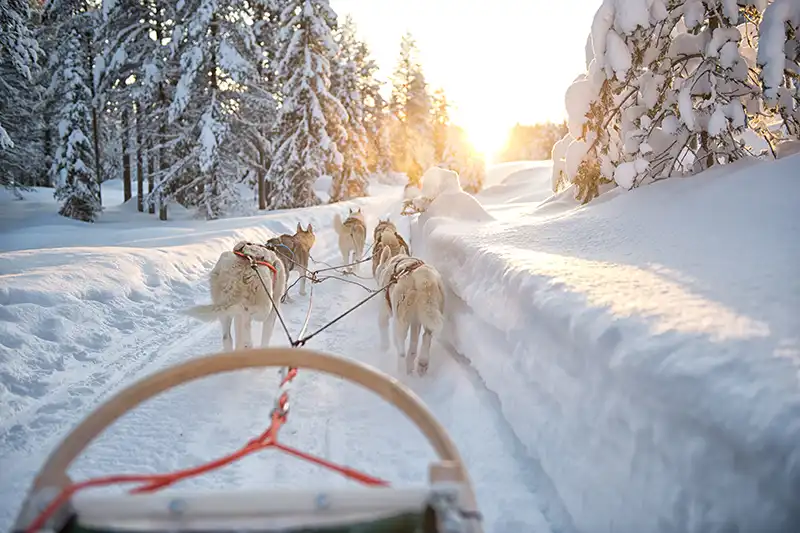 Rovaniemi bezienswaardigheden Rovaniemi highlights