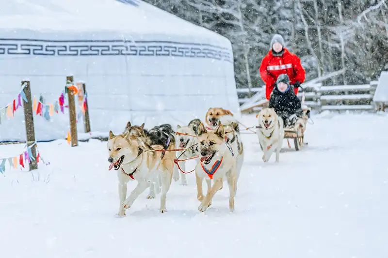 Highlights Rovaniemi Highlights Rovaniemi