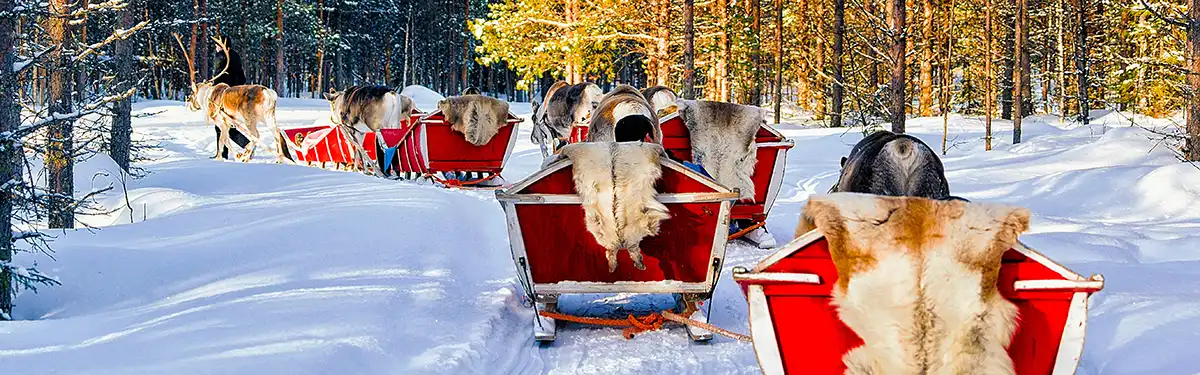 Tours Rovaniemi Tours Rovaniemi