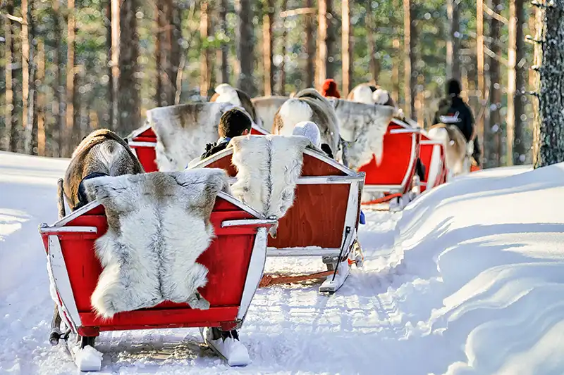 Sami rendierboerderij Sami rendierboerderij