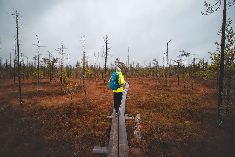 Rovaniemi herfst Rovaniemi herfst