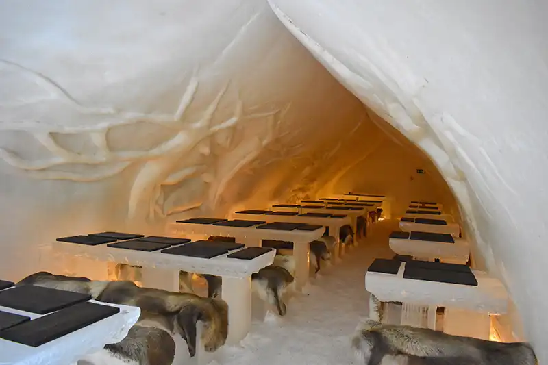 Wat te doen Rovaniemi omgeving Wat te doen Rovaniemi omgeving