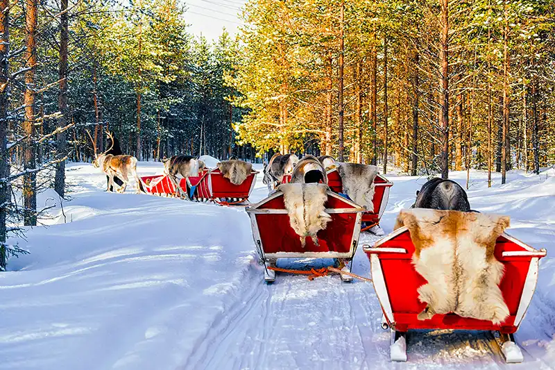 Rovaniemi highlights Rovaniemi highlights